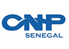 CNP - CONSEIL NATIONAL DU PATRONAT DU SENEGAL